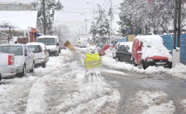 Om de zăpadă, în mijlocul drumului